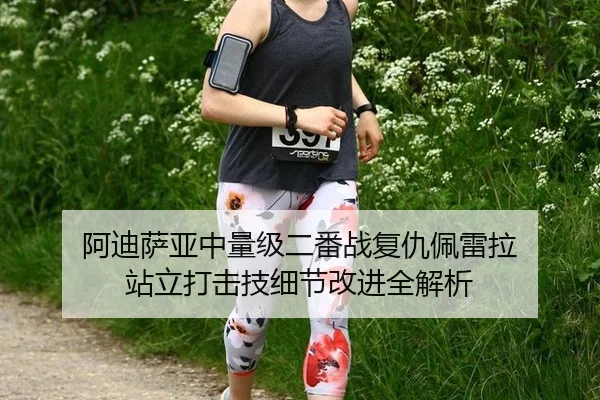 阿迪萨亚中量级二番战复仇佩雷拉 站立打击技细节改进全解析