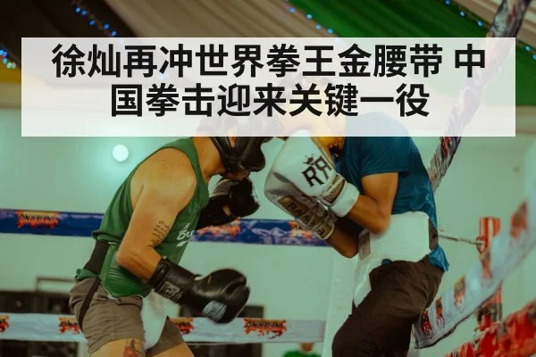 徐灿再冲世界拳王金腰带 中国拳击迎来关键一役