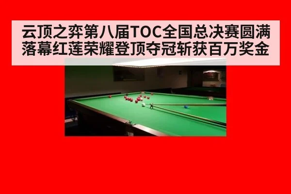 云顶之弈第八届TOC全国总决赛圆满落幕红莲荣耀登顶夺冠斩获百万奖金